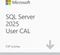 Microsoft SQL Server 2025 Standard Edition Vorschaubild