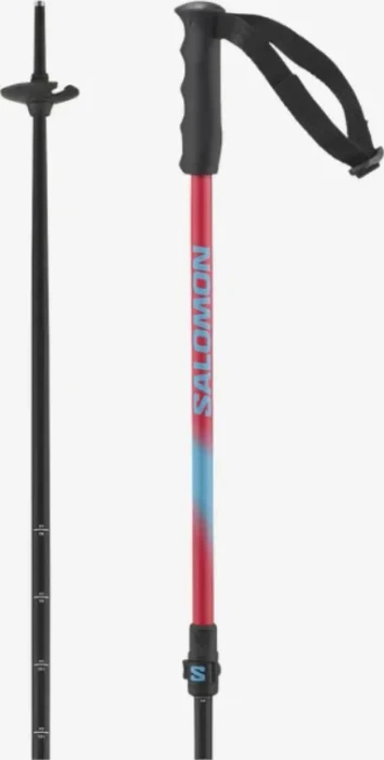 Salomon MTN Alpin Skistock rot (Junior) (Modell 2023/2024)