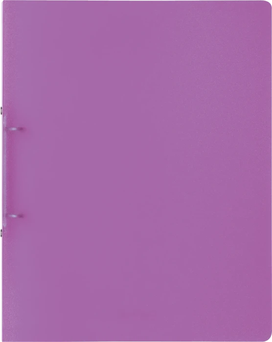 Brunnen FACT!pp Ringbuch 2-Ring, 20mm, A4, violett/transparent