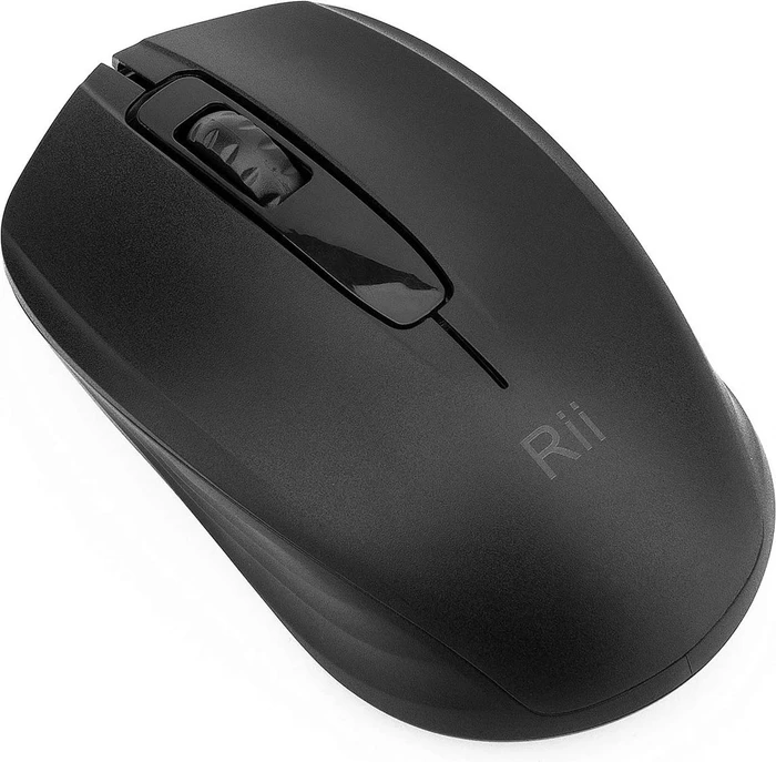 Riitek RM100+ Wireless Mouse schwarz, USB