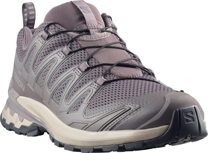 Salomon XA Pro 3D V9 dark gull gray/cloudburst/asphalt (Herren)