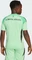 adidas FC Bayern München 2025/2026 Torwarttrikot kurzarm Glory mint (Junior) Vorschaubild