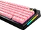 Glorious GPBT Basics Keycaps, Kunststoff (PBT), Potion Pink, rosa, 130 Tasten, ANSI-US Vorschaubild