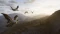 Way of the Hunter 2 (PC) Vorschaubild