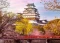 Ravensburger Puzzle Burg Himeji Japan Vorschaubild