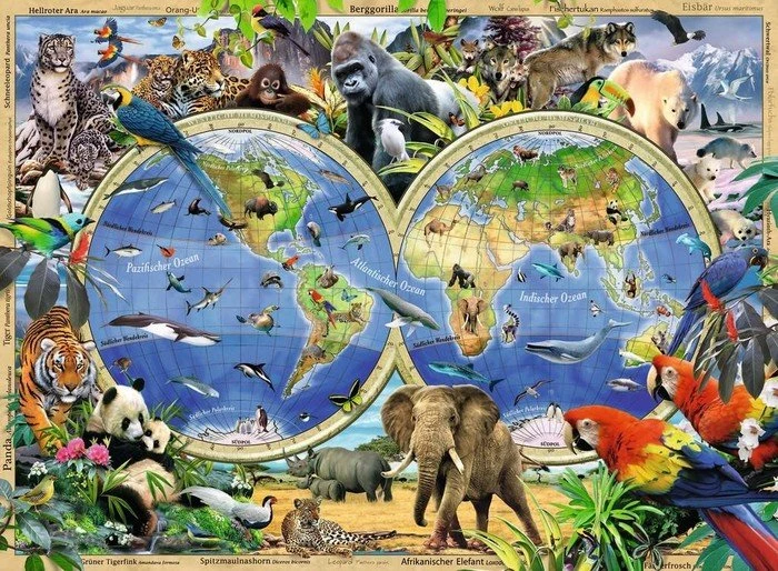 Ravensburger Puzzle Tierisch um die Welt