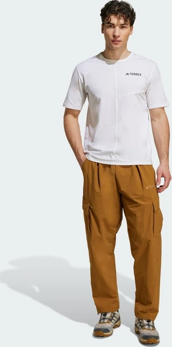 adidas Terrex Xploric Cargo Hose lang bronze strata (Herren)
