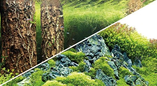 Hobby Fotorückwand Scaper's Hill & Scaper's Forest