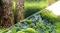 Hobby Fotorückwand Scaper's Hill & Scaper's Forest Vorschaubild