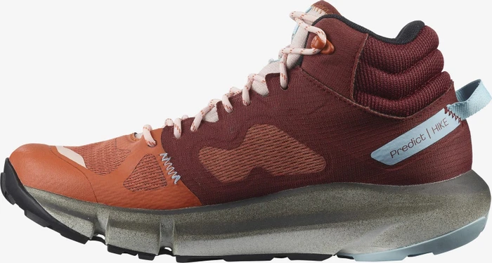 Salomon Predict Hike Mid GTX mecca orange/madder brown/crystal blue (Damen)