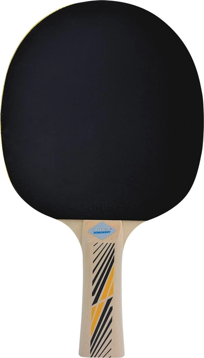 Donic Schildkröt Legends 300 FSC Tischtennisschläger