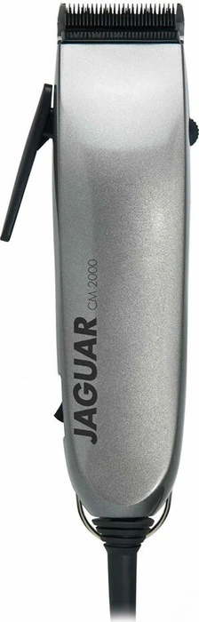 Jaguar CM2000 silver