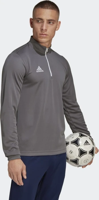 adidas Entrada 22 Training Funktionsshirt langarm team grey four (Herren)