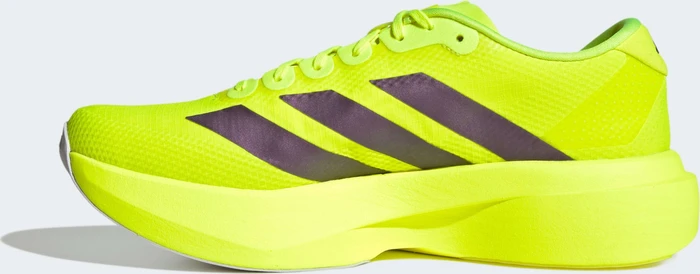 adidas Adizero Evo SL solar yellow/aurora plum/powder plum (Herren)