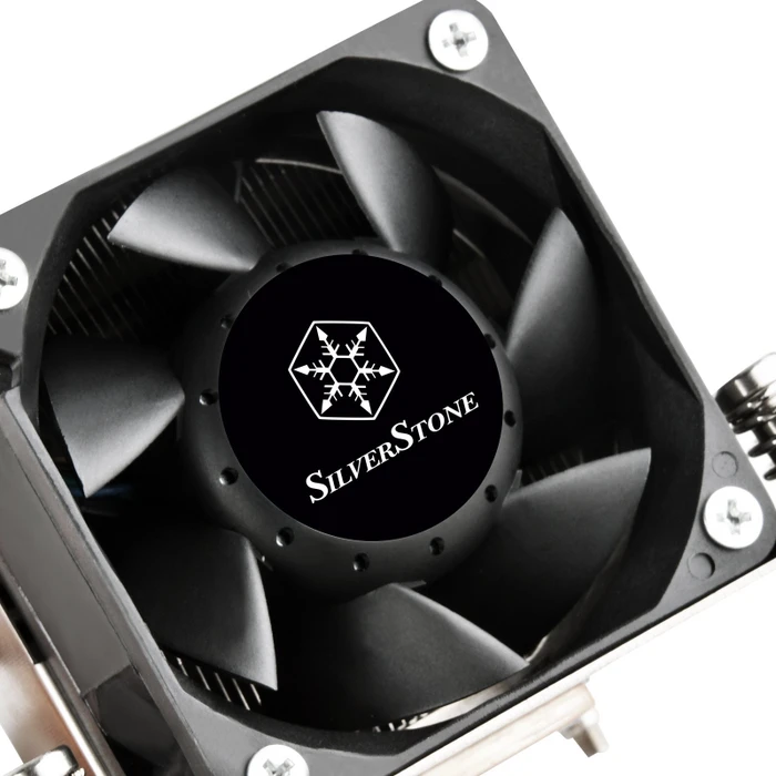 SilverStone XE02-2011