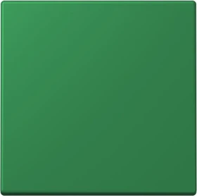 Jung Wippe 1-fach, vert foncé