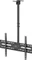 Wentronic Goobay TV-Deckenhalterung Basic (XL) Vorschaubild