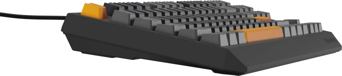 Genesis Thor 230 TKL, Anchor Gray Positive, LEDs RGB, hot-swap, Outemu Red, USB, US