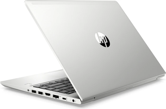 HP ProBook 445 G6, silber, Ryzen 5 2500U, 8GB RAM, 256GB SSD, DE