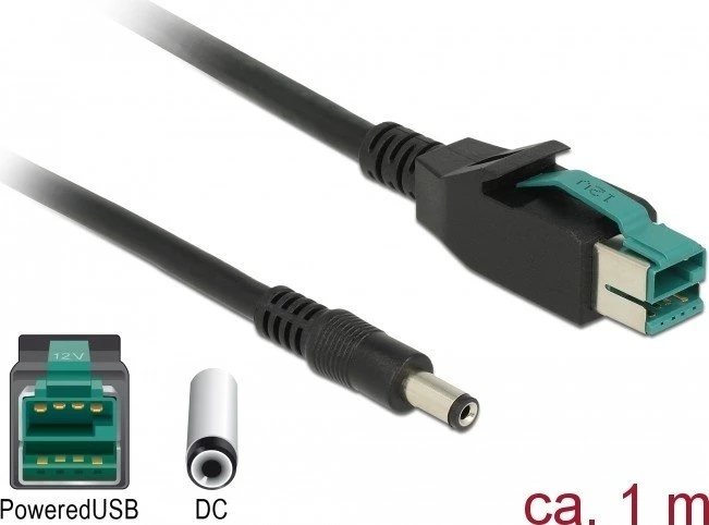 DeLOCK PoweredUSB Kabel Stecker 12V auf 1x Hohlstecker, 1m
