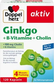 Doppelherz aktiv Ginkgo + B-Vitamine + Cholin Kapseln, 120 Stück