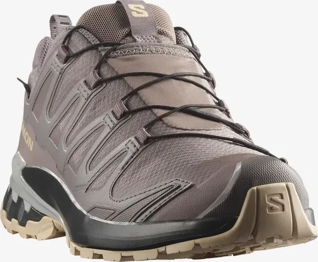 Salomon XA Pro 3D V9 GTX plum kitten/black/gull (Damen)
