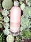 Essence gel nail colour Nagellack Vorschaubild