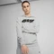 Puma F1 ESS Motorsport Hoodie (Herren) Vorschaubild