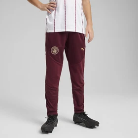 Puma Manchester City Trainingshose lang dark jasper (Junior)