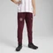 Puma Manchester City Trainingshose lang dark jasper (Junior) Vorschaubild