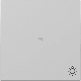 Gira Wippe mit Kontrollfenster und Symbol Licht, grau matt
