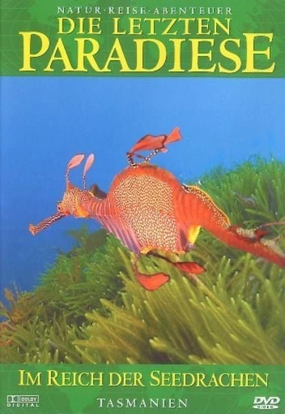 Die letzten Paradiese Vol. 12: Tasmanien - Im Reich der Seedrachen (DVD)