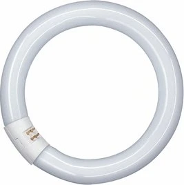Osram Lumilux T9 22W/865 G10q