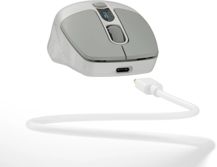 Eternico MSB270 Wireless Office Mouse grau, USB/Bluetooth