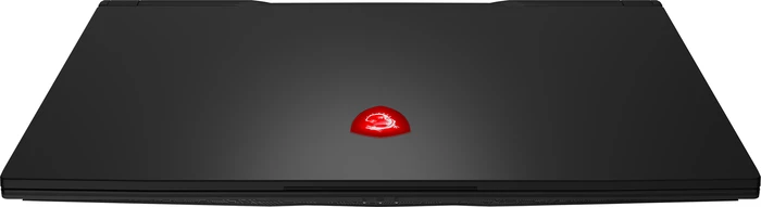 MSI GL75 Thin 9SE-228, Core i7-9750H, 16GB RAM, 256GB SSD, 1TB HDD, GeForce RTX 2060, DE