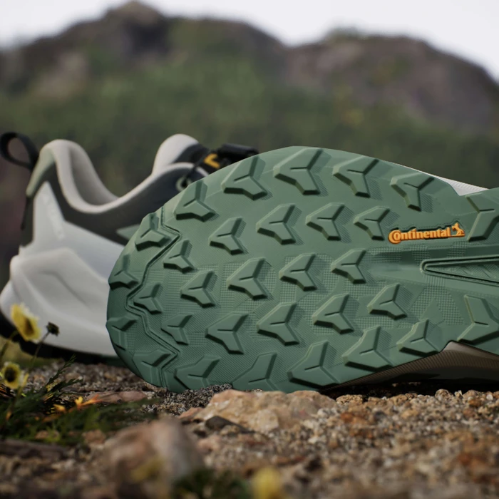adidas National Geographic Terrex Trailmaker 2 GTX Speed Lace carbon/silver green/orbit grey (Herren)