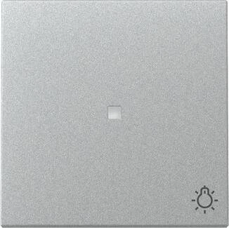 Gira Wippe mit Kontrollfenster und Symbol Licht 3674