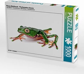 Calvendo Riesen-Makifrosch - Phyllomedusa bicolor