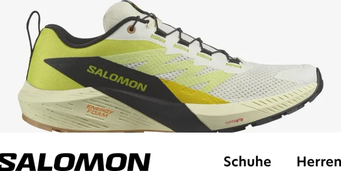 Salomon Sense Ride 5 vanilla ice/sulphur spring/black (Herren)