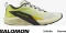 Salomon Sense Ride 5 vanilla ice/sulphur spring/black (Herren) Vorschaubild