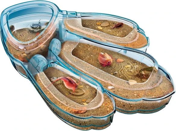 Clementoni Galileo Original Triops Maxi de Luxe