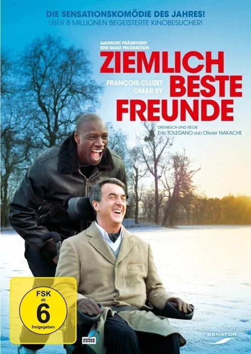 Ziemlich beste Freunde (DVD)
