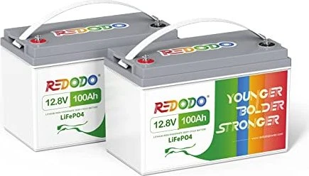 Redodo LiFePO4 100Ah Akku 12V, 2er-Pack