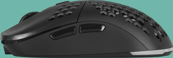 Gamiac PX71 Wireless RGB Gaming Maus schwarz, USB