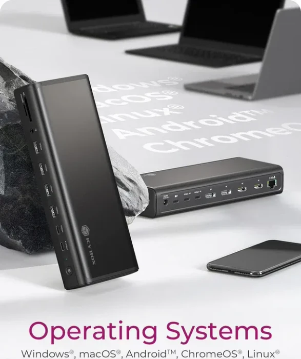 RaidSonic Icy Box IB-DK7401-CU31 DockingStation 17-in-1, USB-C 3.1 [Buchse]