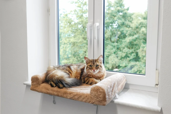 Kerbl Fensterliegebrett, beige, 56x36x7cm (82656) – Bild 12