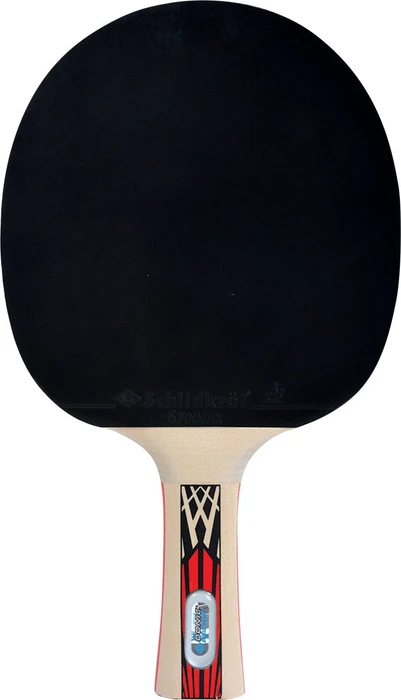 Donic Schildkröt Legends 900 FSC Tischtennisschläger