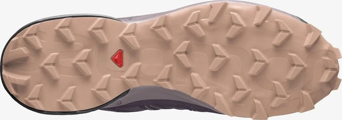Salomon Speedcross 5 GTX mysterioso/quail/sirocco (Damen)