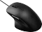 Rapoo N500 Silent Mouse schwarz, USB Vorschaubild
