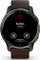 Garmin Venu 2 Plus cream slate/slate brown Vorschaubild